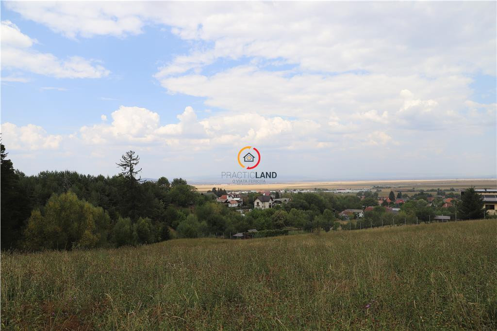 Teren intravilan cu PUZ si PUD 2 loturi