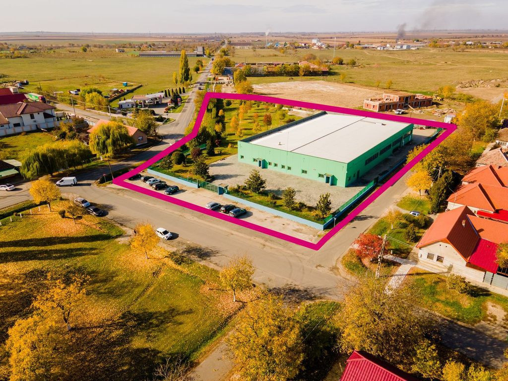 Hală producție în localitatea Sântana Comision 0% la ...