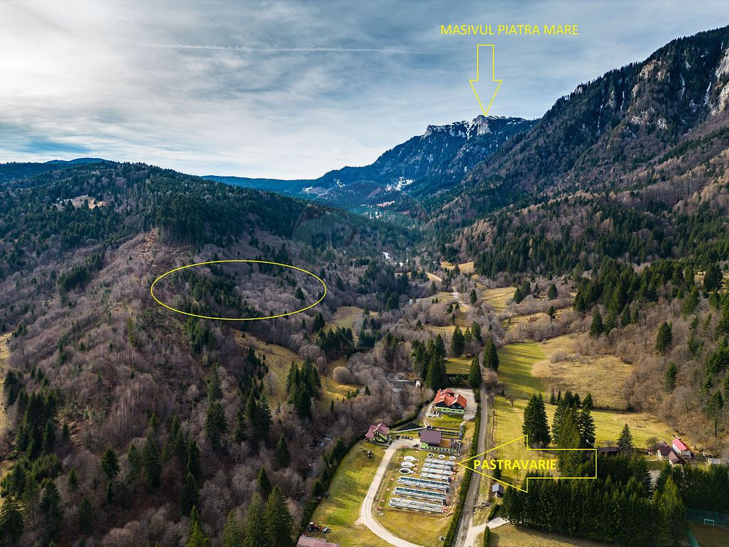 Teren Sacele 8850 mp / Extravilan/Impadurit/Peisaj montan...