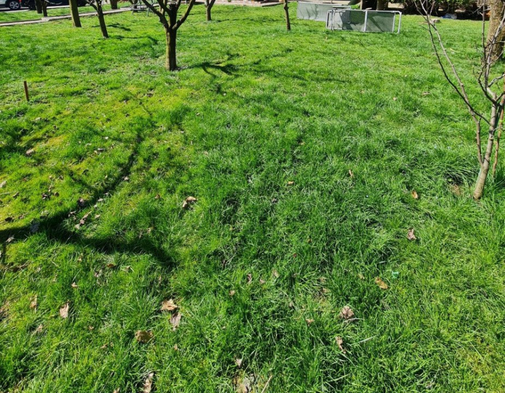 Teren intravilan, 1050 mp, zona Tauti