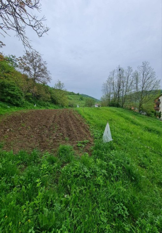 Teren intravilan de vânzare, 1.550 mp, Florești – zonă