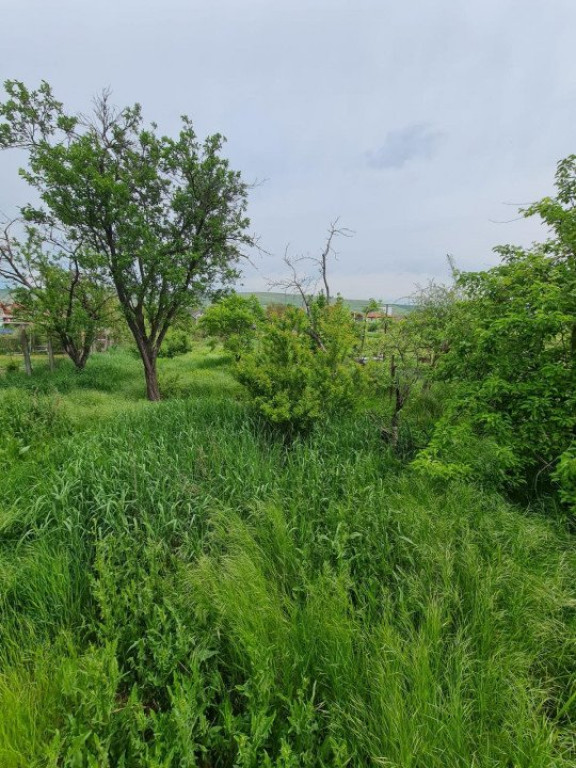 Teren pentru constructie de case sau duplexuri, Certificat d