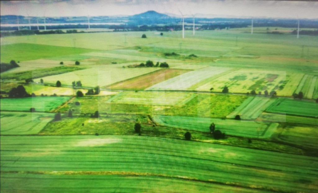 Teren la malul Dunarii, 2100mp, pret negociabil.