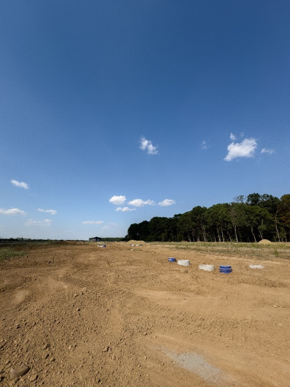 Vand lot teren la padurea Snagov