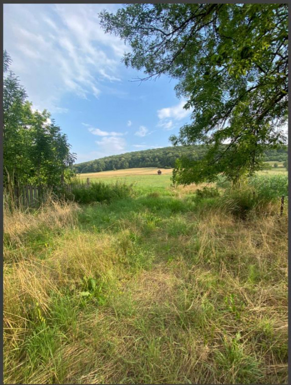 Teren intravilan comuna Valcele ,Judetul Covasna