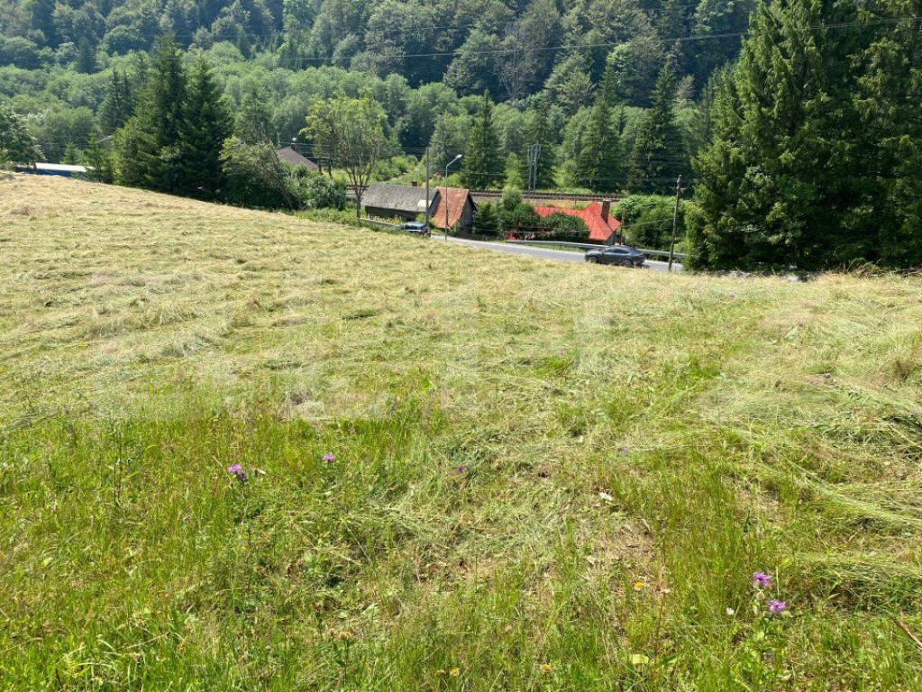 Oportunitate de Investiție: Teren de 10.000 mp la Intrarea