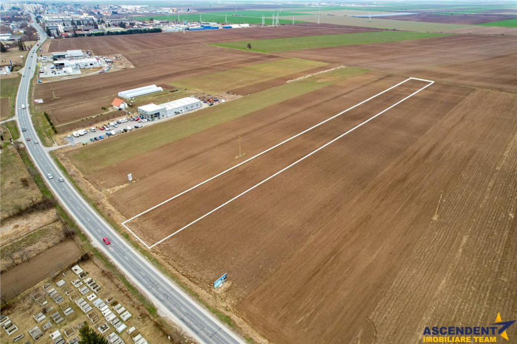 FILM! Teren intravilan 7.850 mp, Chilieni, Sfantu Gheorghe