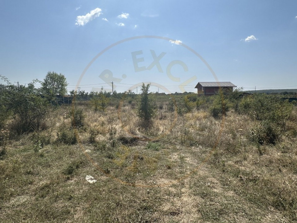 Teren Intravilan Magic Trivale - Aleea Bradului 1040 mp