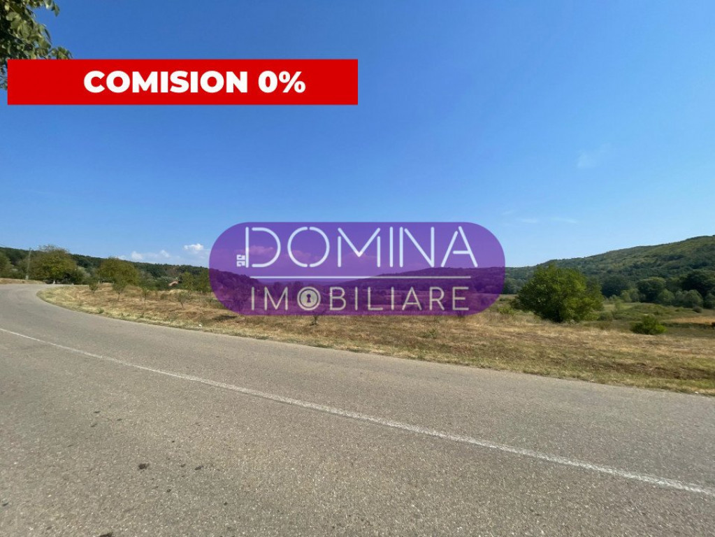 Teren intravilan în Bălănești -1 km distanță de DN 67