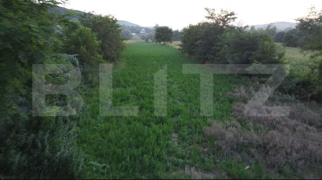 Teren Intravilan, 4.800mp, 14 ml - Preutești/Basarabi