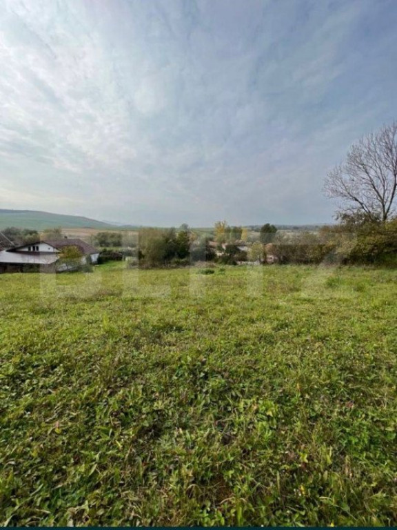 Teren intravilan, 4 506 mp, sat Craiesti