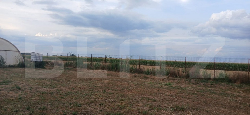 Teren intravilan in Tarian, strada Mestesugarilor,perfect pe