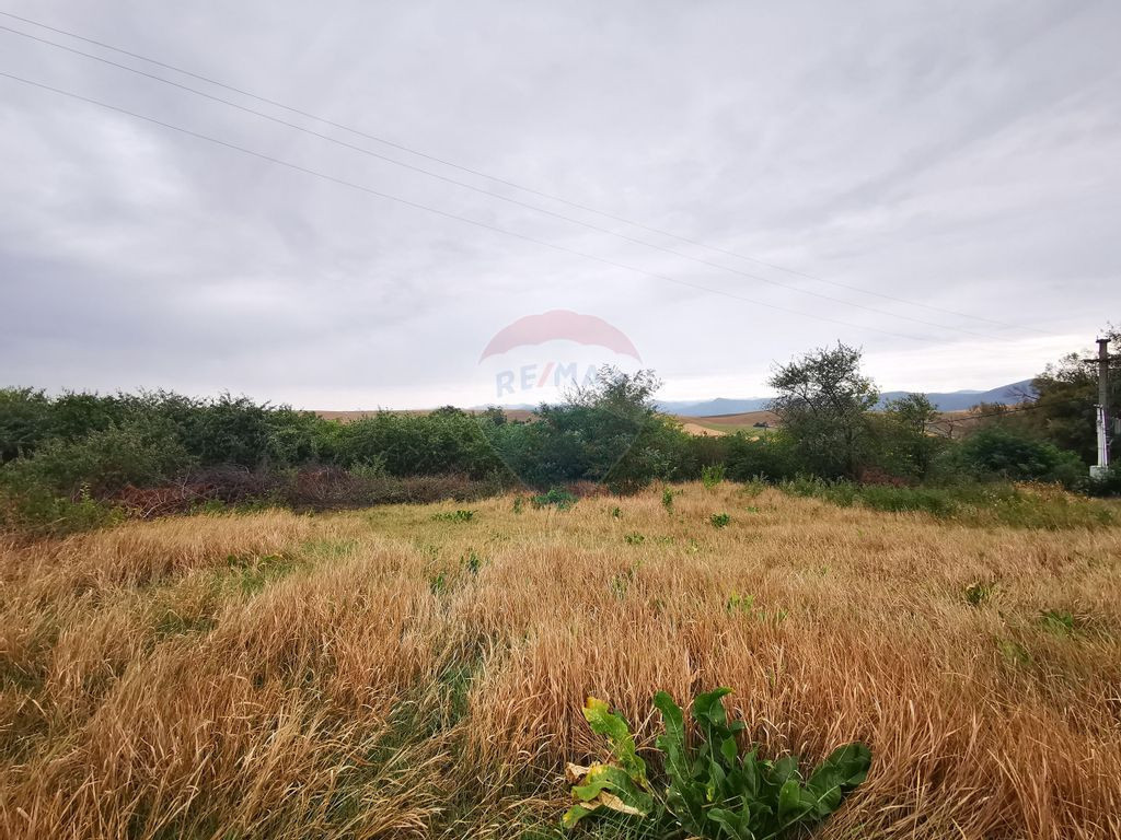 Teren 2,000mp Turturesti / Strada Deal Victoria