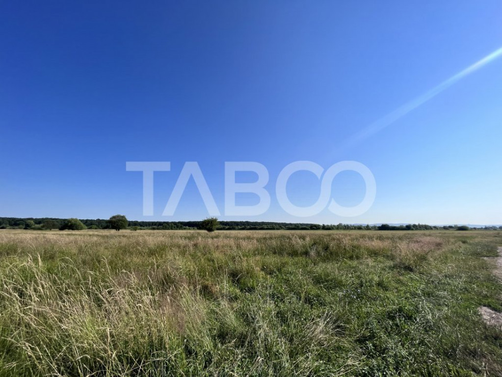 De vanzare teren intravilan 500 mp cu deschidere 20 mp Veter