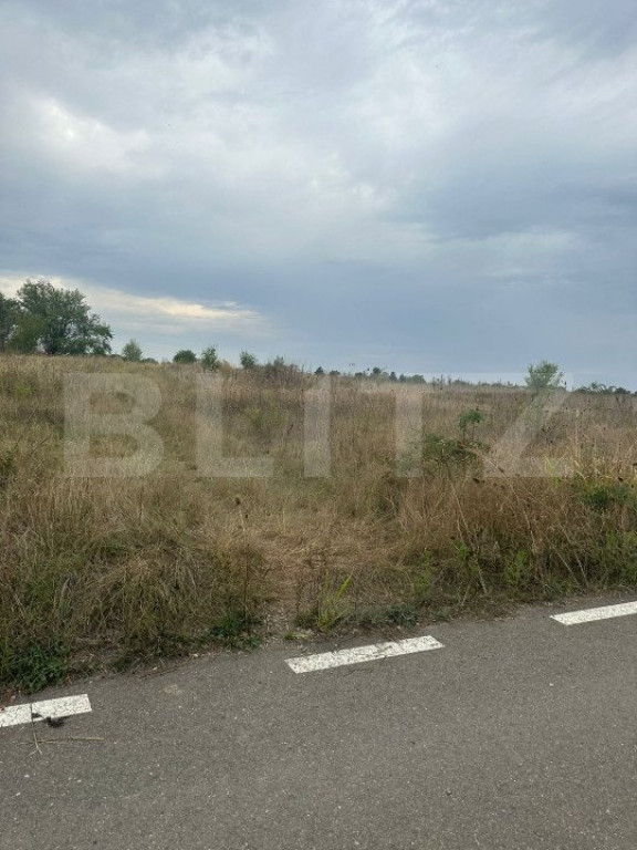 Teren intravilan/extravilan, 1500 mp, Cazaci