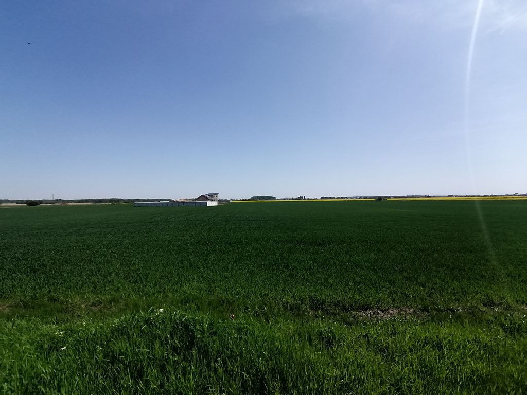 Teren intravilan 9313 mp in comuna 1 Decembrie - Ilfov