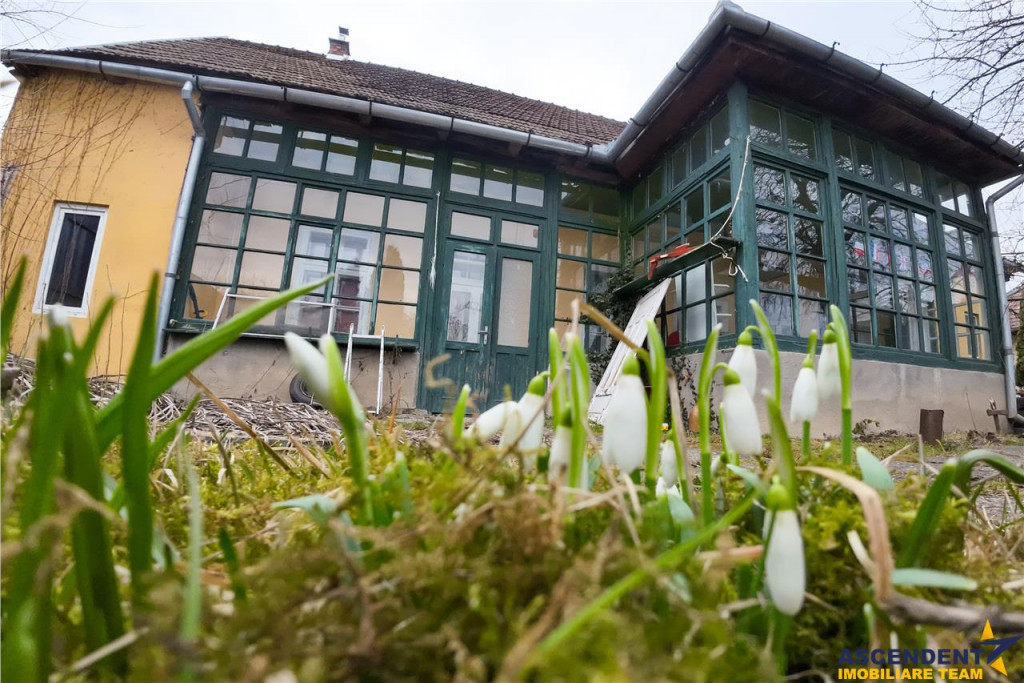 Potential pe segmentul rezidential comercial investitional