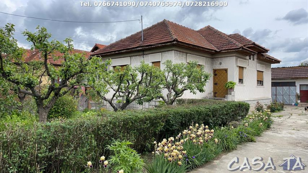 Casa 4 Camere + Teren (6500mp) si Anexe, Turcinesti