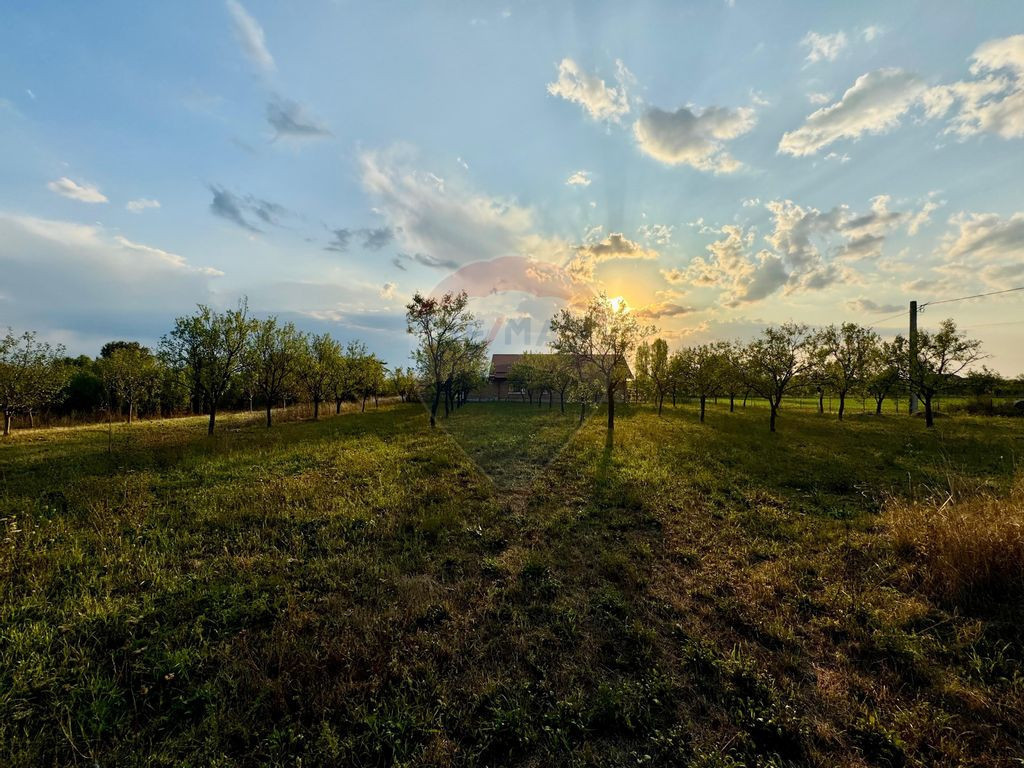 Teren intravilan in orasul Seini (Zona linistita in dezvo...