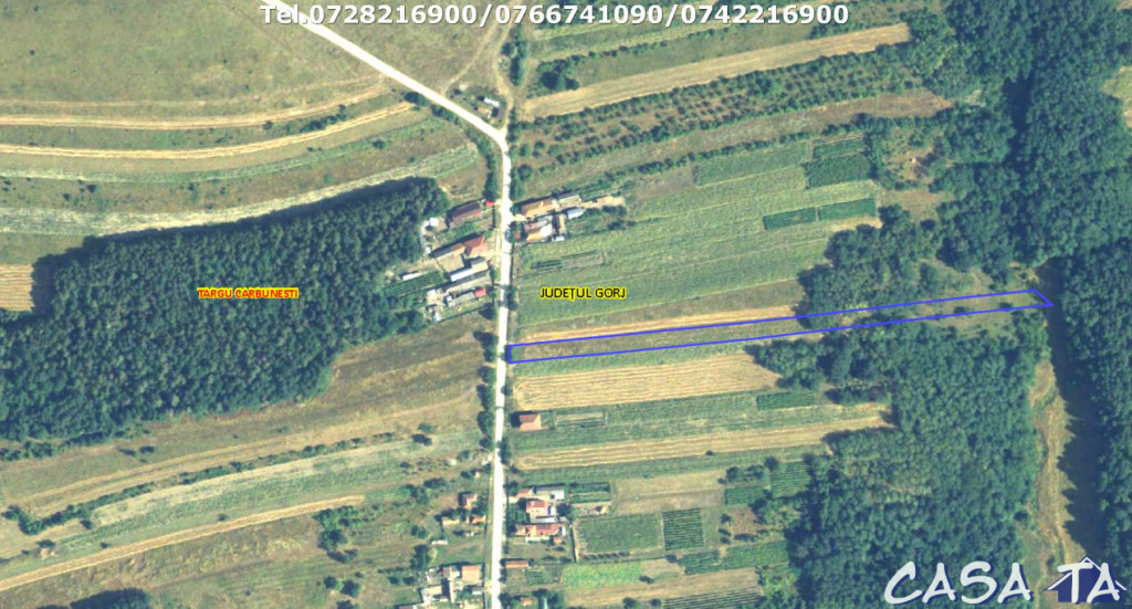 Teren situat în orasul Târgu-Carbunesti , Localitatea Flor