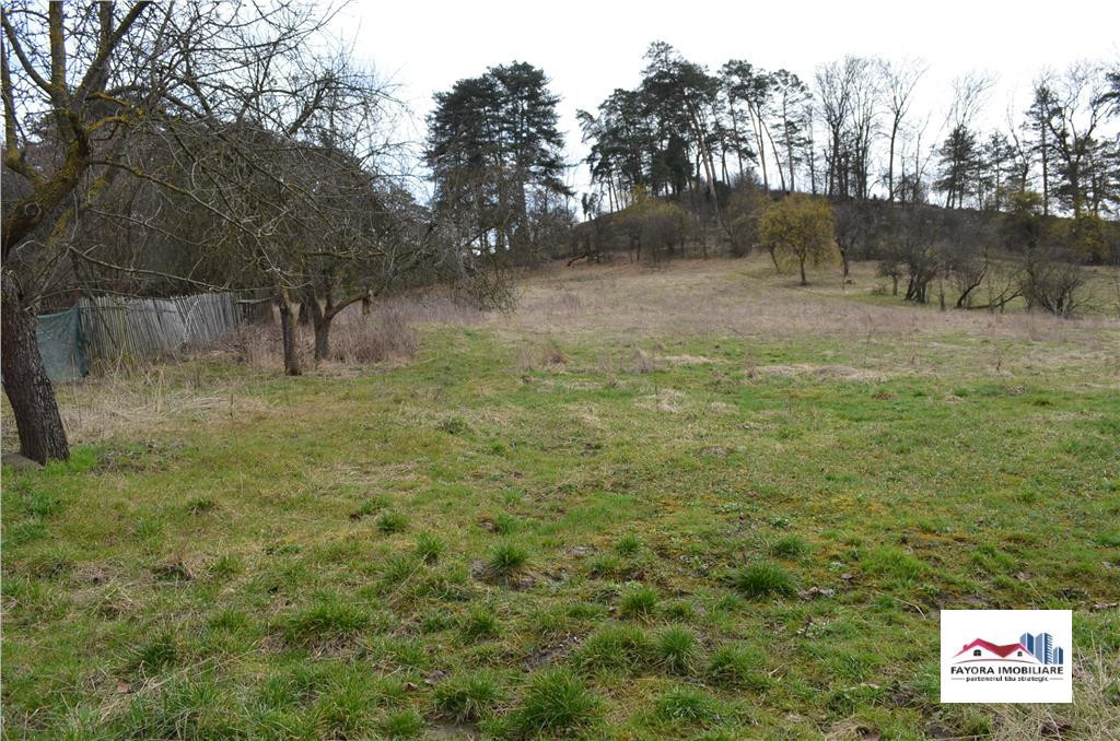 Teren de Zona Livezeni