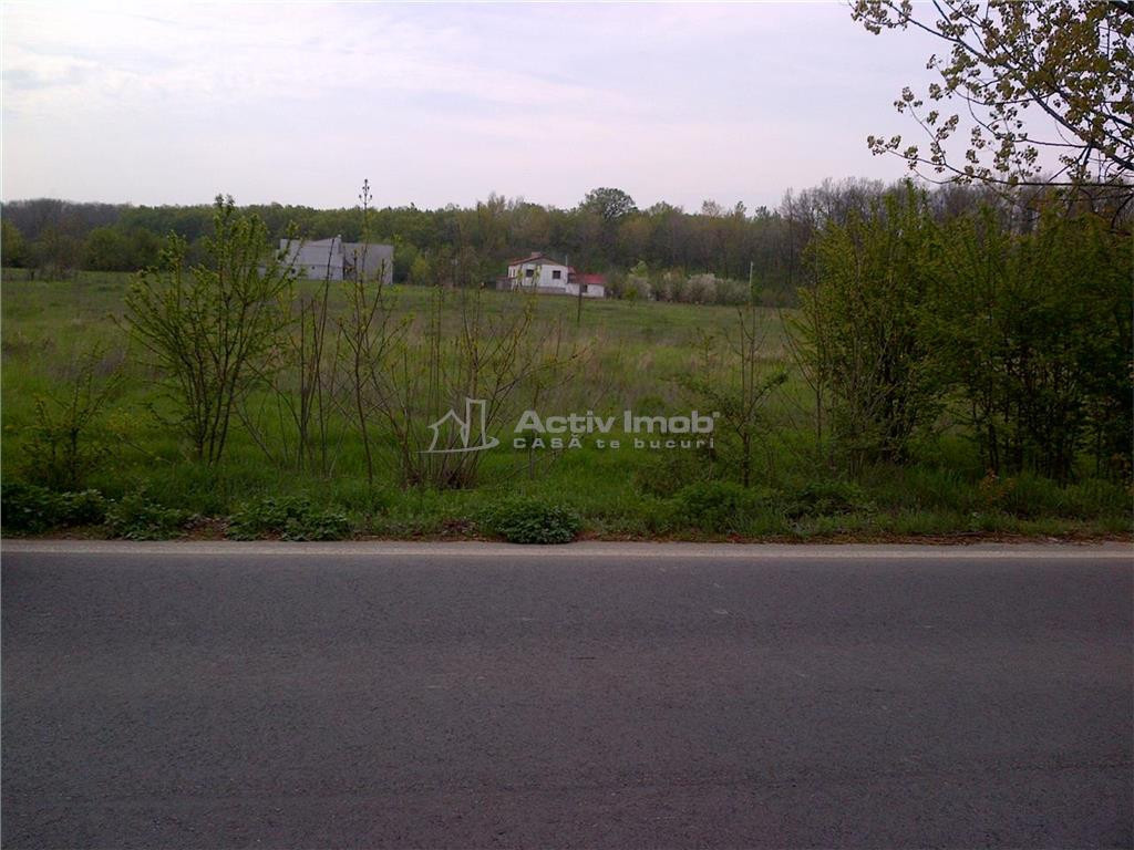 Teren intravilan, 5000mp, Ciolpani - accept schimb