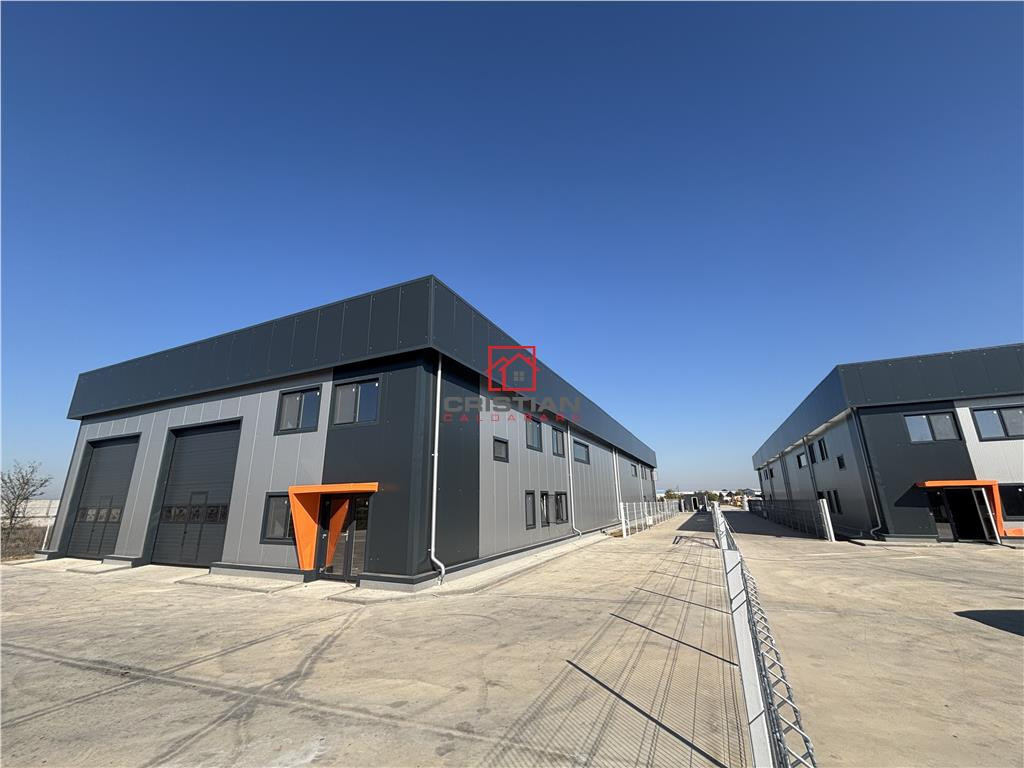 Depozit/hala/spatiu industrial Chitila - Centura - Rudeni