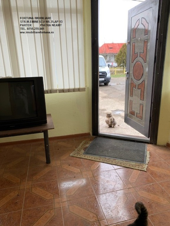 Spatiu comercial birouri/productie, de inchiriat