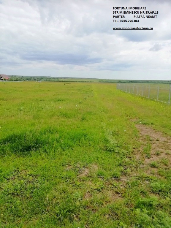 Loturi de teren Dumbrava Rosie