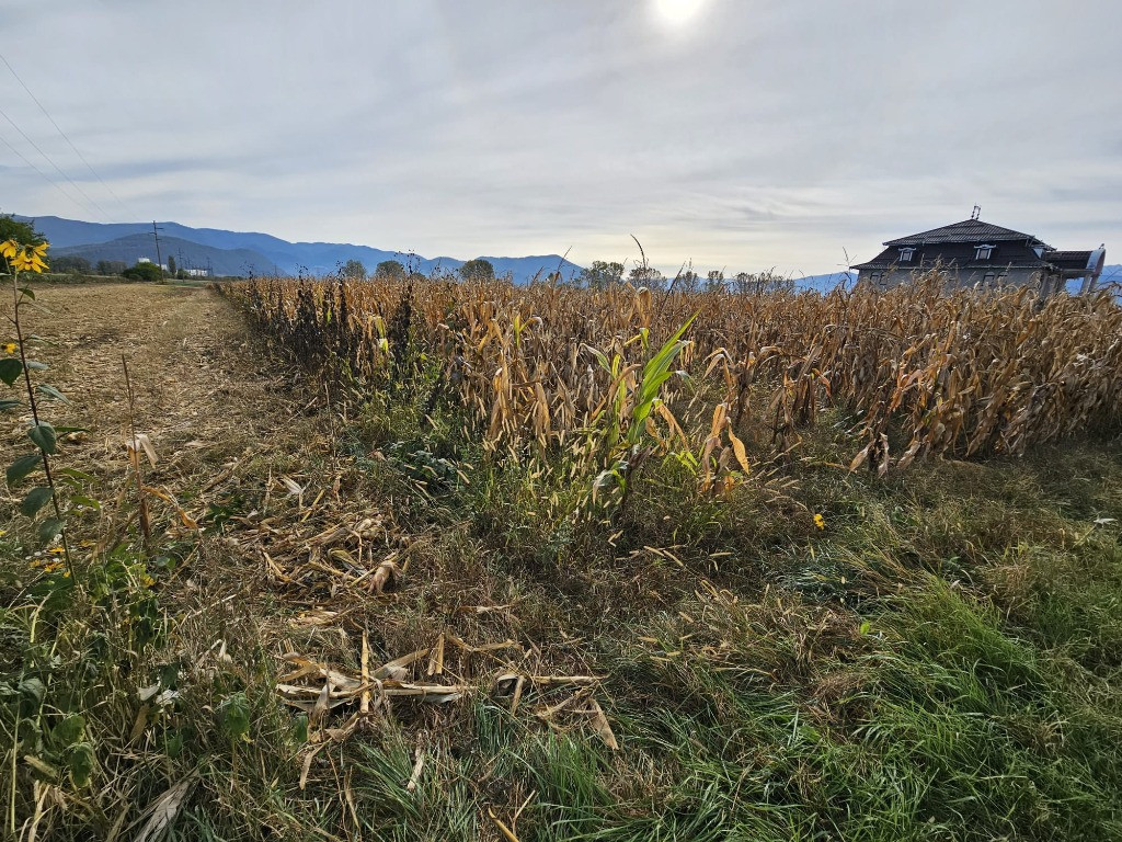 Teren intravilan Hateg