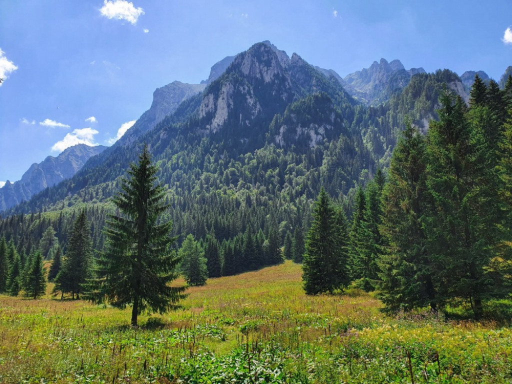 Teren intravilan in Busteni, ideal pentru investitie