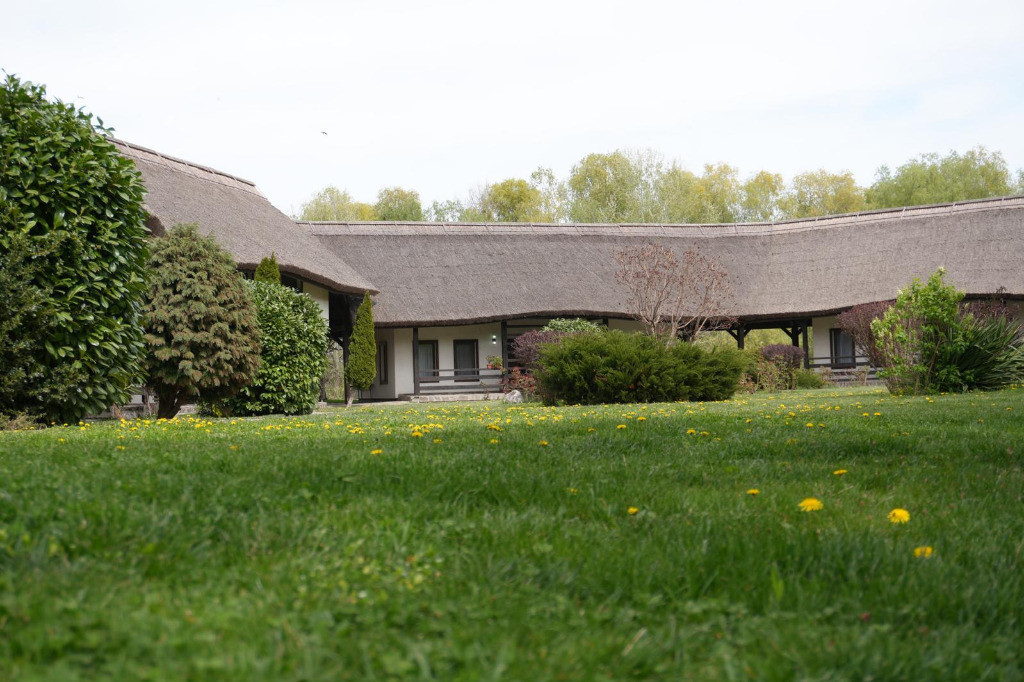 Egreta by Hoxton Delta Dunarii