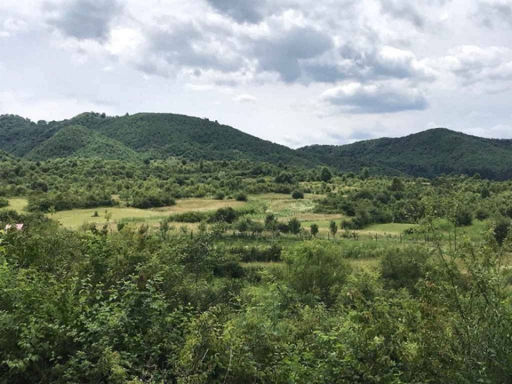 4300 mp - Teren in extravilanul localitatii Turnu Rosu