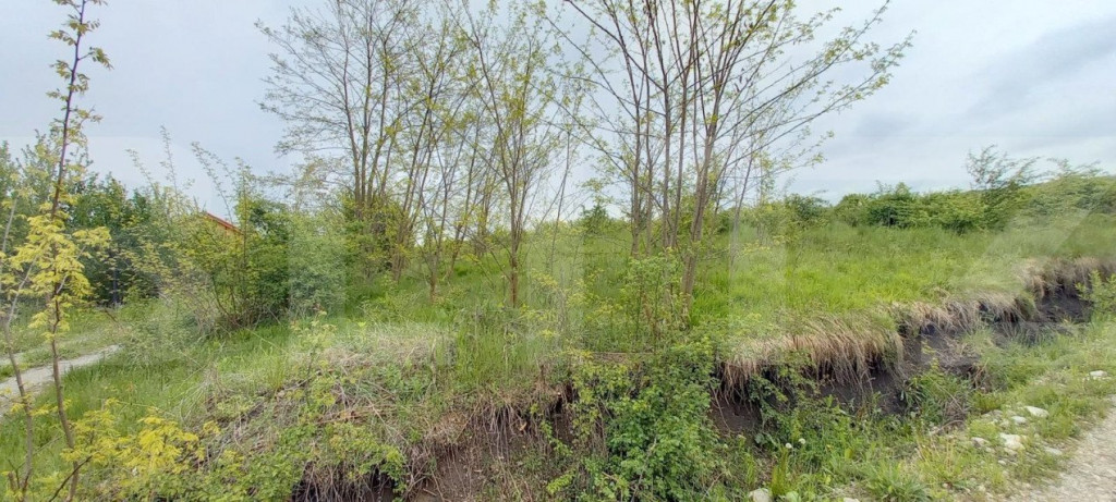 Teren extravilan, 961 mp, utilitati in zona , Valea Chintaul