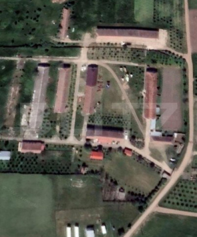 Teren cu fosta ferma zootehnica, suprafata 239.551 mp, Maslo
