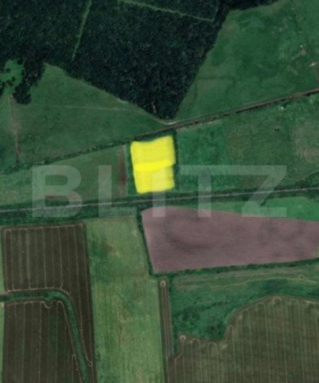 Teren extravilan de vanzare, 50.000 mp, langa padurea din Pi