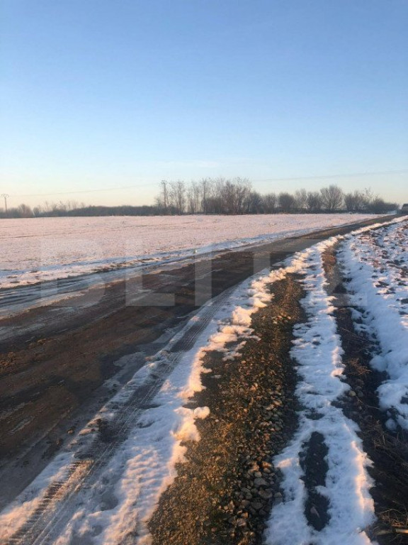 Teren extravilan, 70.000 mp, front la drumul judetean, Pisch