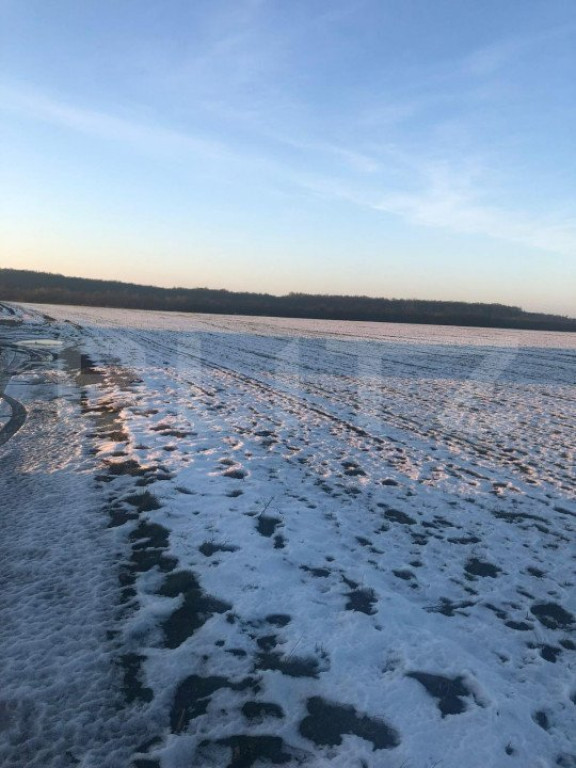 Teren extravilan, 106.400 mp, la drumul Judetean, in Pischia