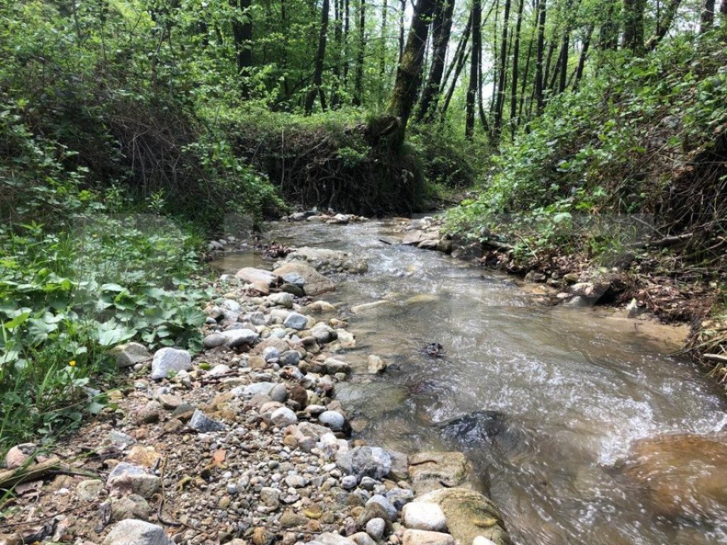 Teren, 9.746 mp, zona Cernadia