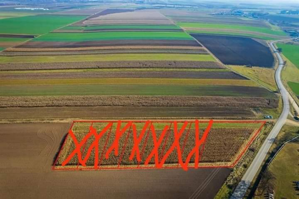 De vânzare teren intravilan la intrarea în Arcus