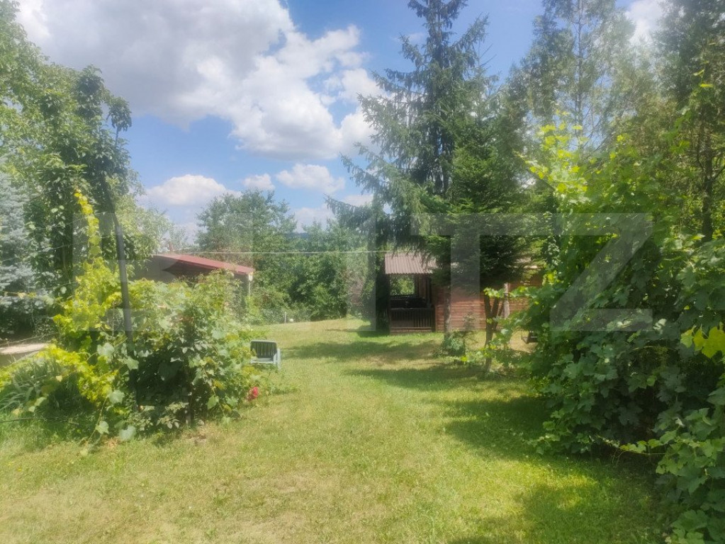 Teren intravilan cu livada, 8600 mp, Patrauti