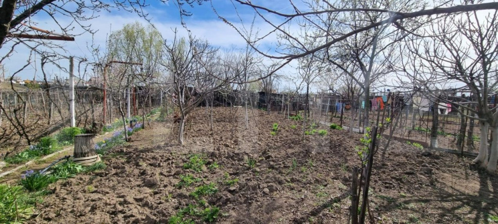 Teren 1000 mp, Bariera Valcii