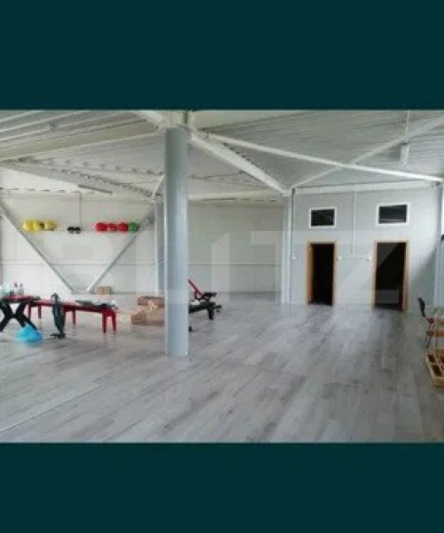 Spatiu Comercial, 300 Mp, zona Narcisa