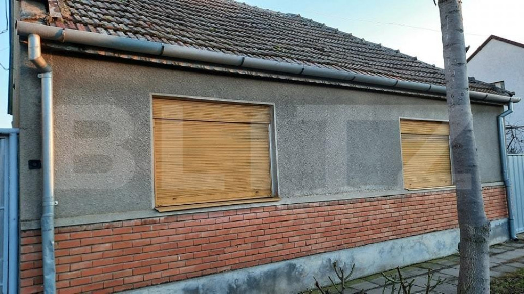 Doua case de vanzare pe un teren mare in Timisoara!