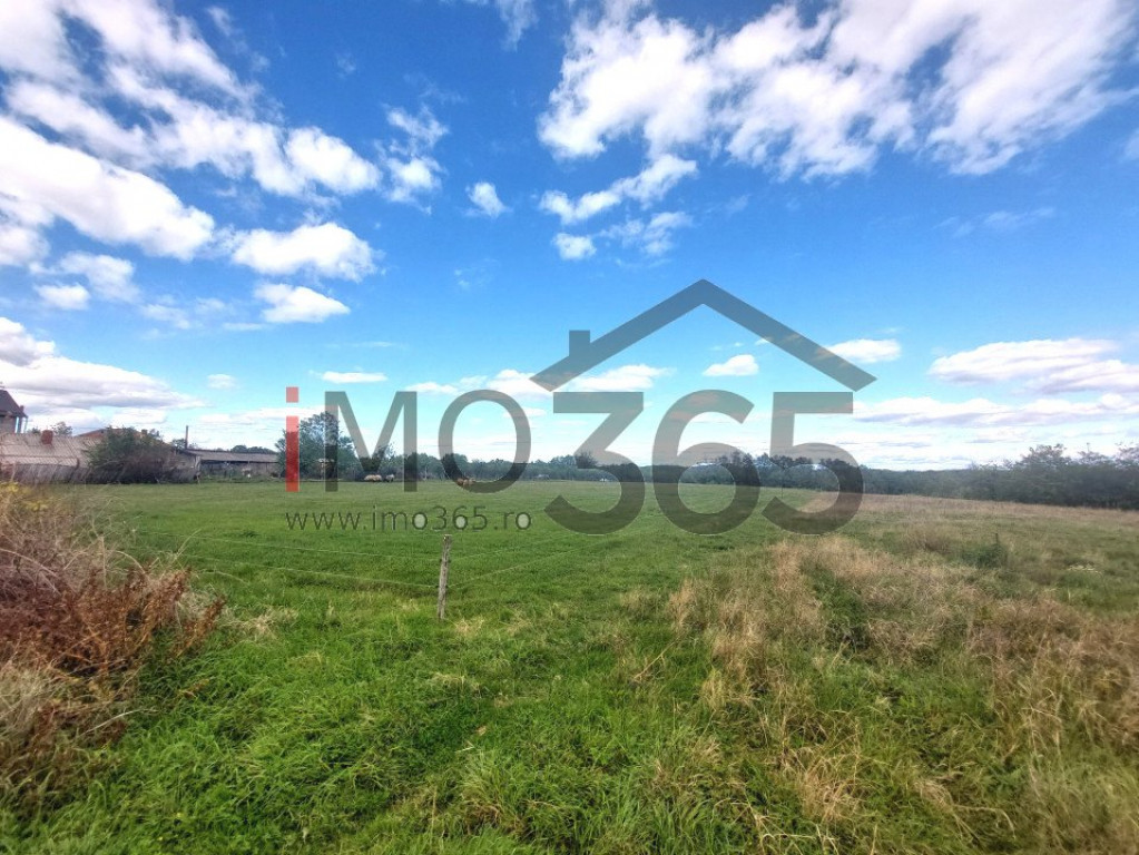 Teren Poiana Lacului (Cepari) - 4039 mp - deschidere 21m