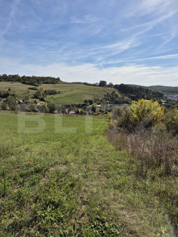 Parcela 12000 mp teren intravilan de vanzare in Livezeni