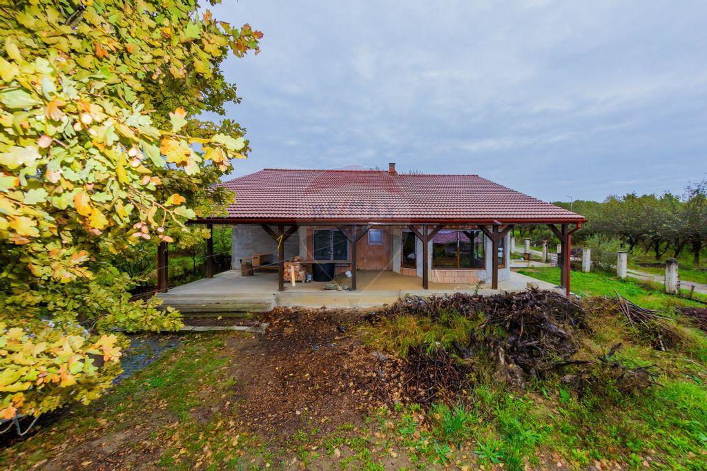 Tăuții Măgherăuș, casă de vânzare cu priveliște d...