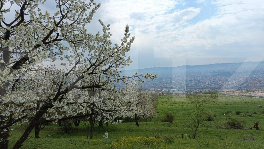 Teren extravilan, Dambul Rotund, 8310 mp