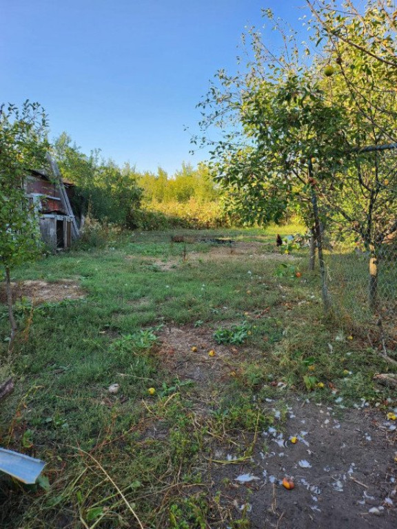 Teren de vanzare, 1219 mp, Smeura