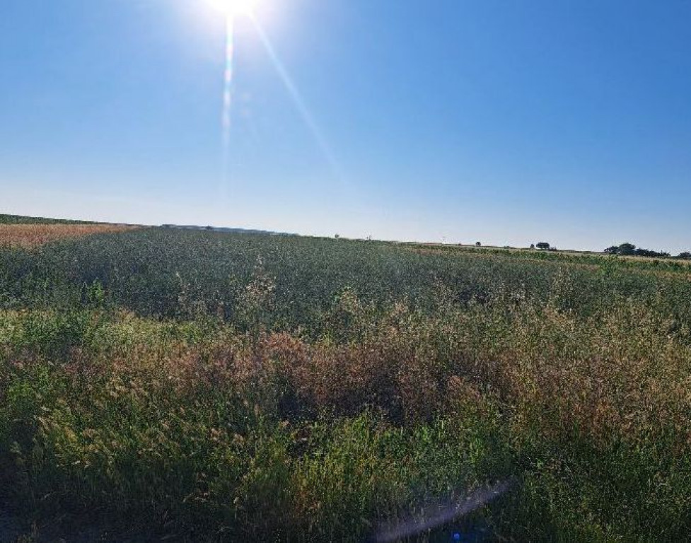 Teren extravilan, Comuna Visina, Jud Olt R2196082